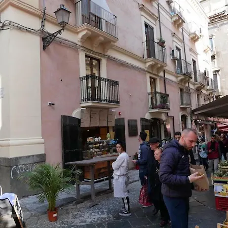 Διαμέρισμα Vuciata